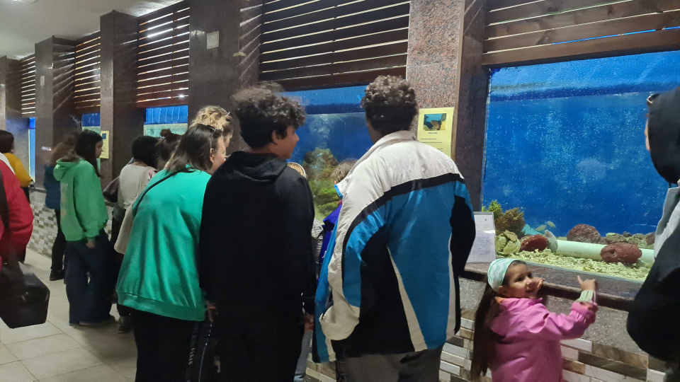 Музей Хамеда Гохара