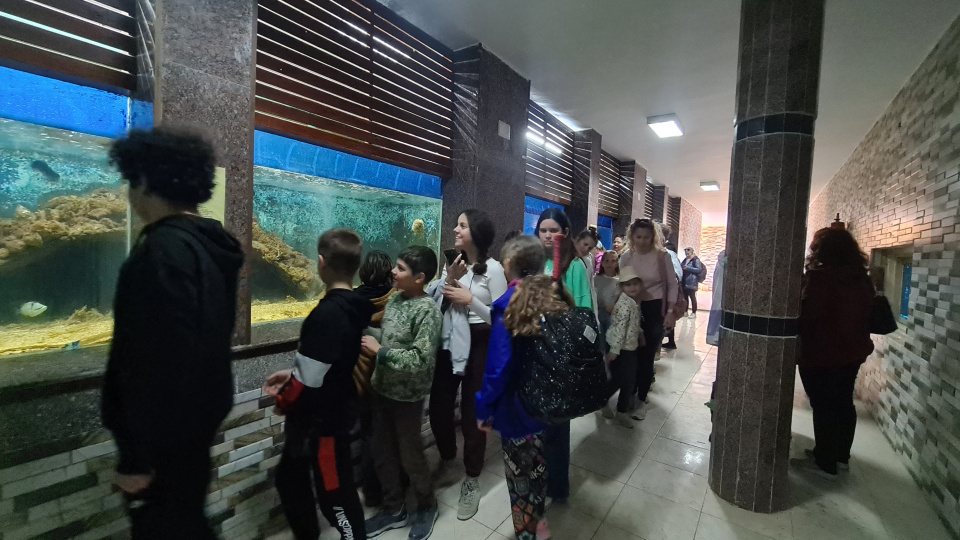 Музей Хамеда Гохара