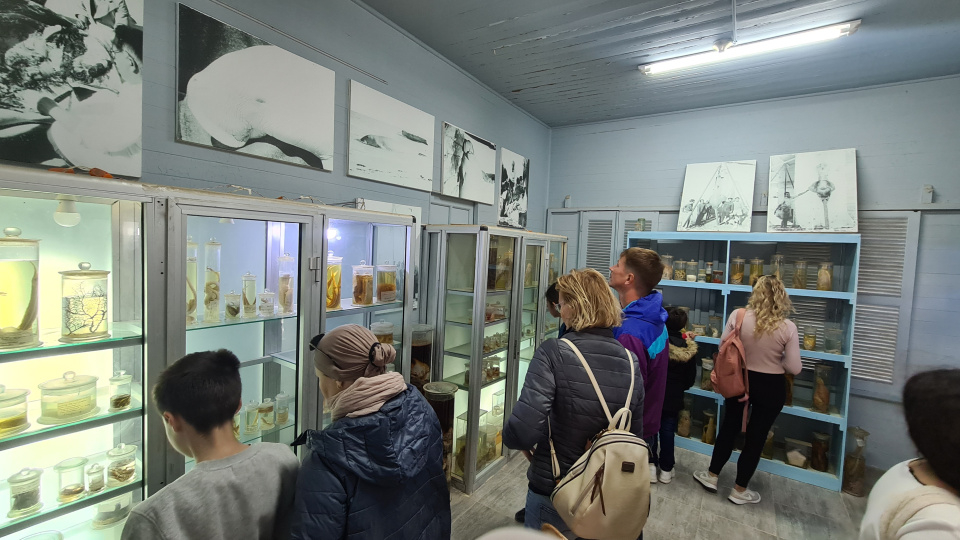 Музей Хамеда Гохара