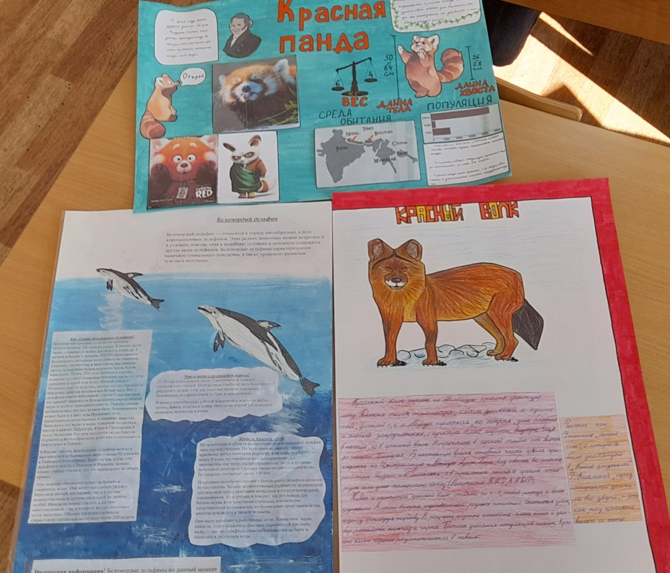 Молодежный клуб РГО "ОРТ Мишпахтейну"