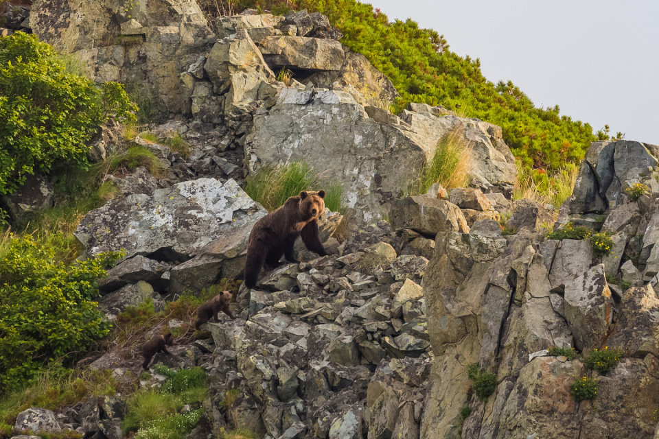 Магаданская область