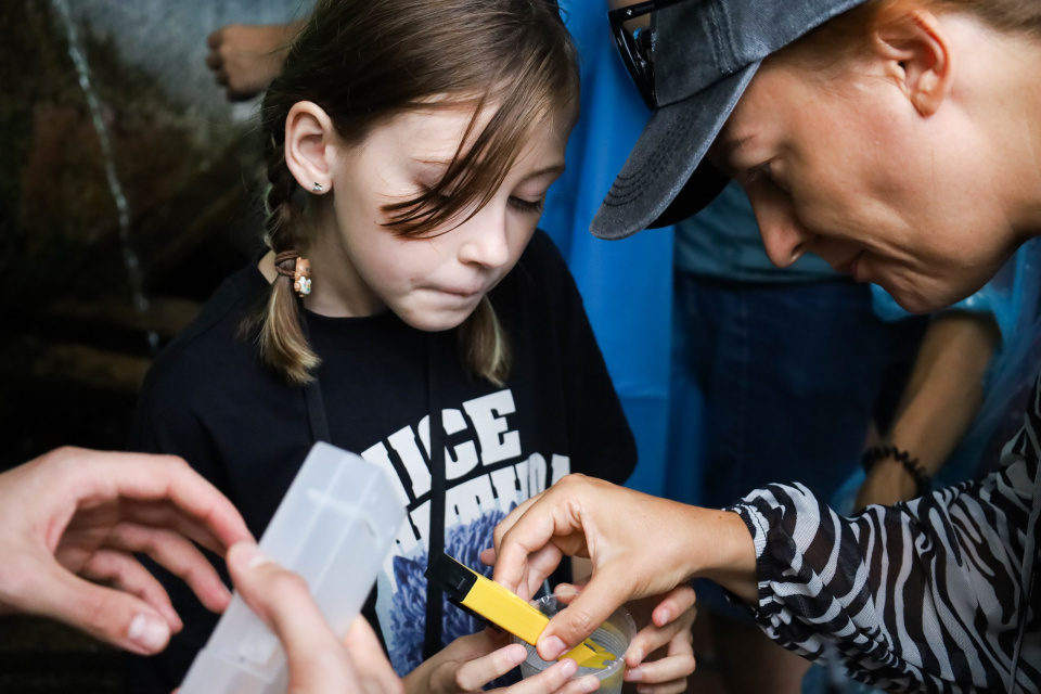 Прогулка с ученым