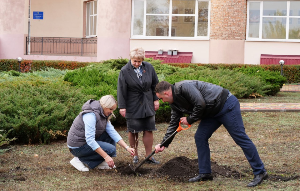 Реализация проекта "Семейный лес"