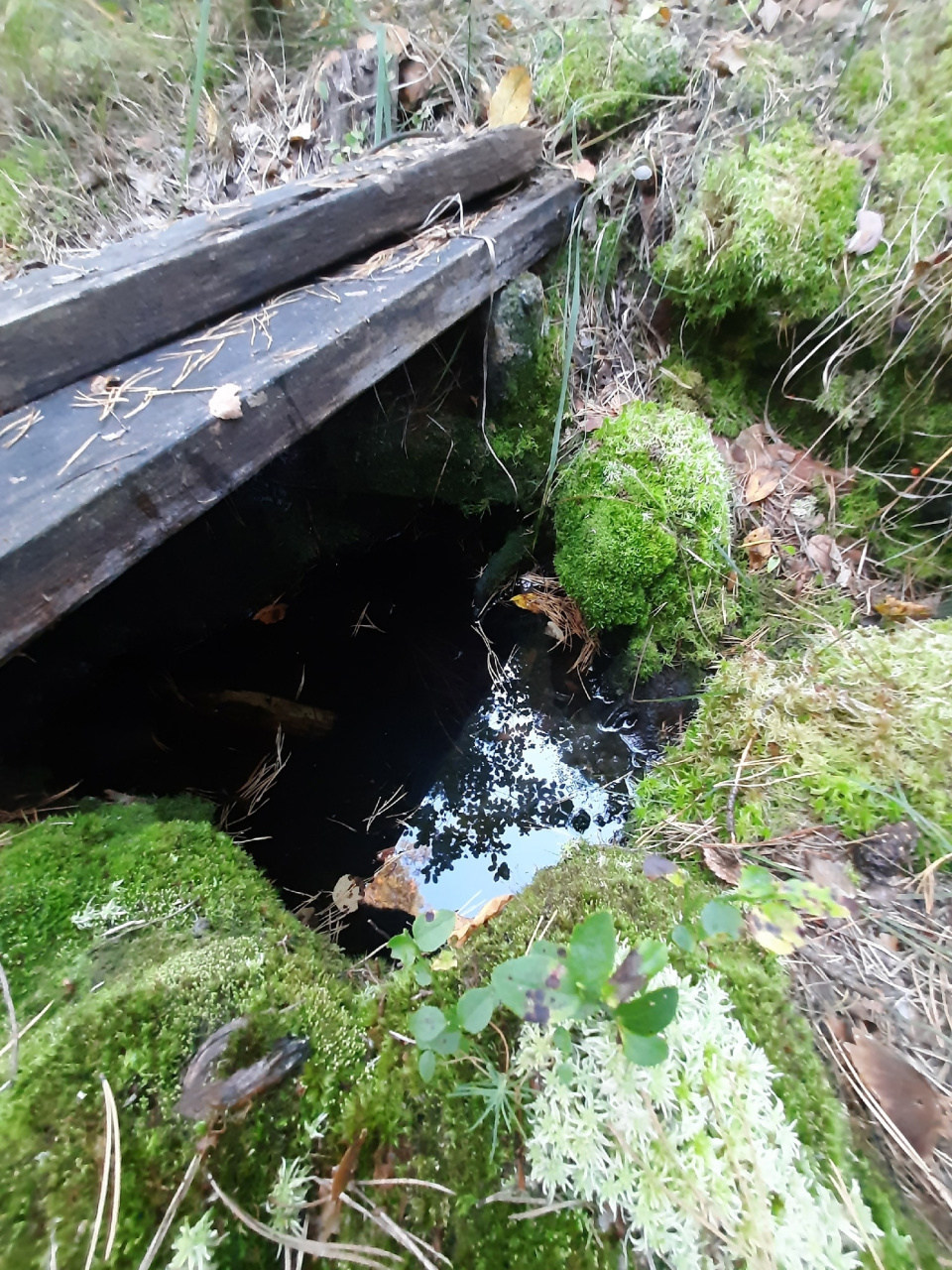 Родник у Чертова бугра