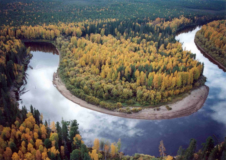 Предоставлено организаторами