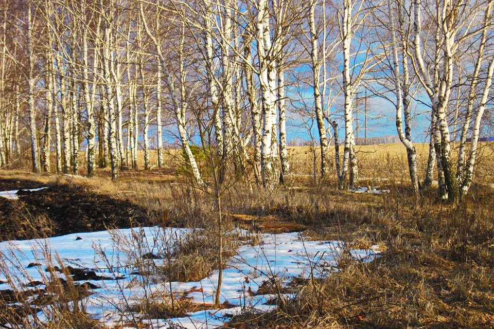 Михаил Редин