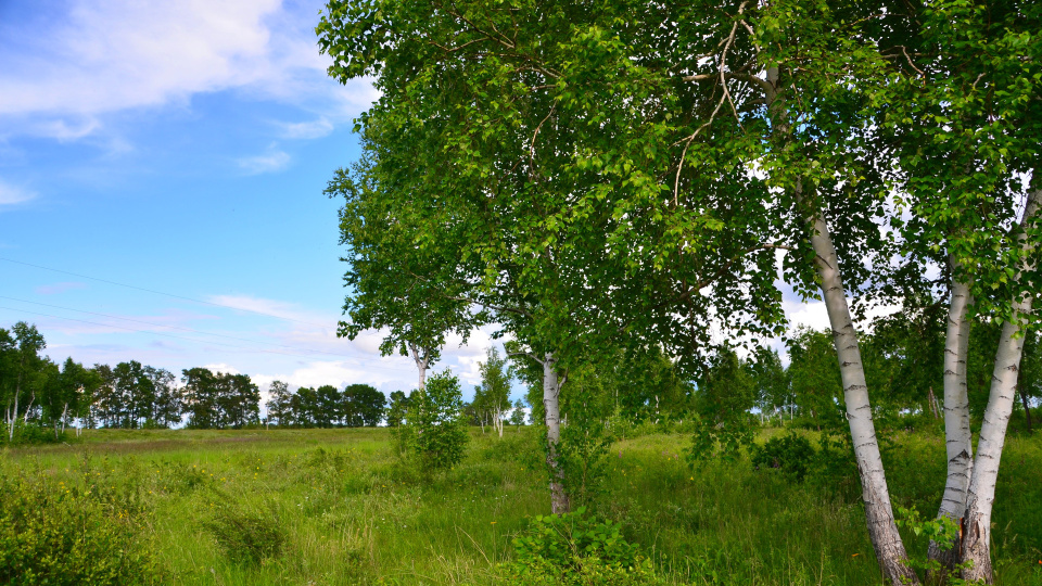 Александр Грабор, участник фотоконкурса РГО "Самая красивая страна"