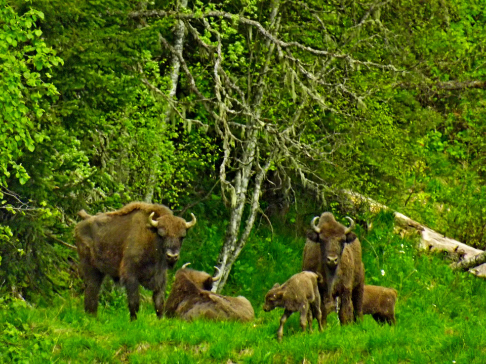 Апшеронск, экспедиция