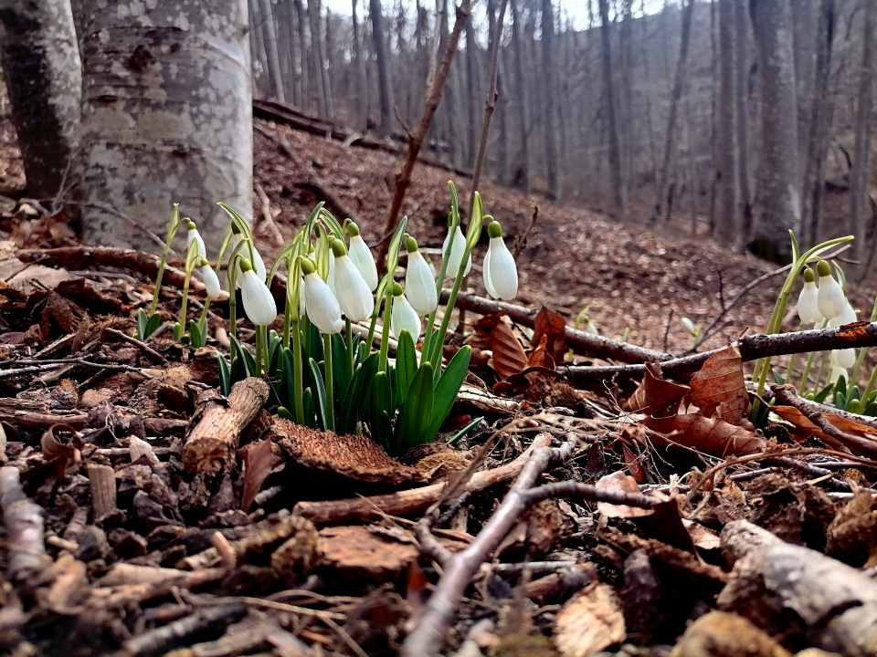 Молодежный клуб РГО "Крым" 
