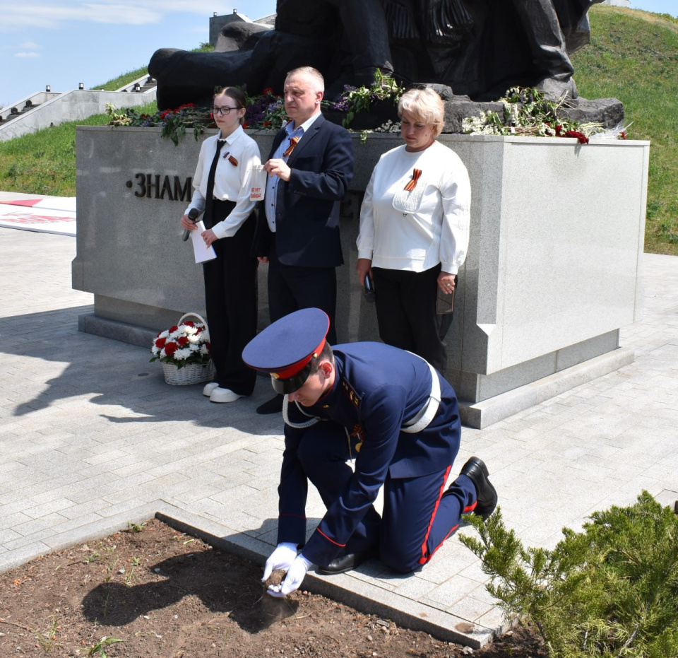 Братская могила 