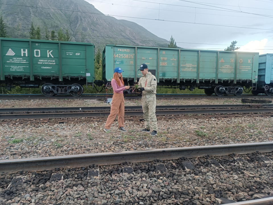 Ученые на работе