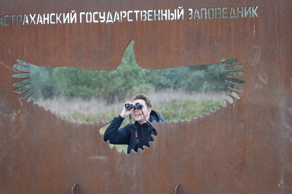 Лебедь и Орлан