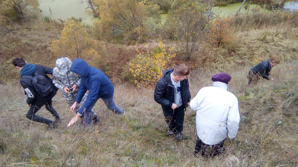 В зоне исследования