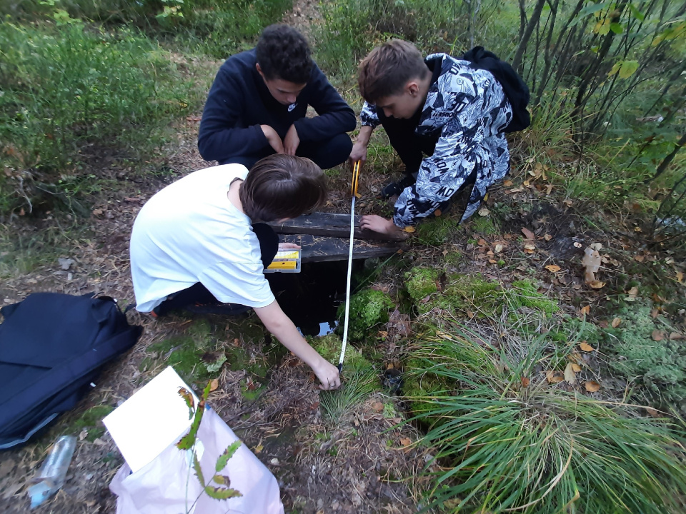 Изучаем родник