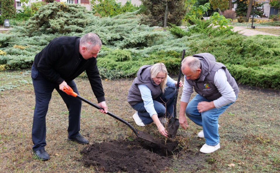 Реализация проекта "Семейный лес"