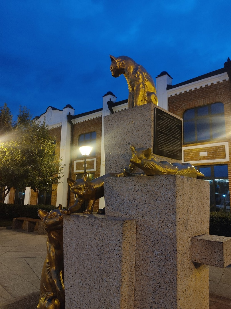 Сквер сибрских кошек