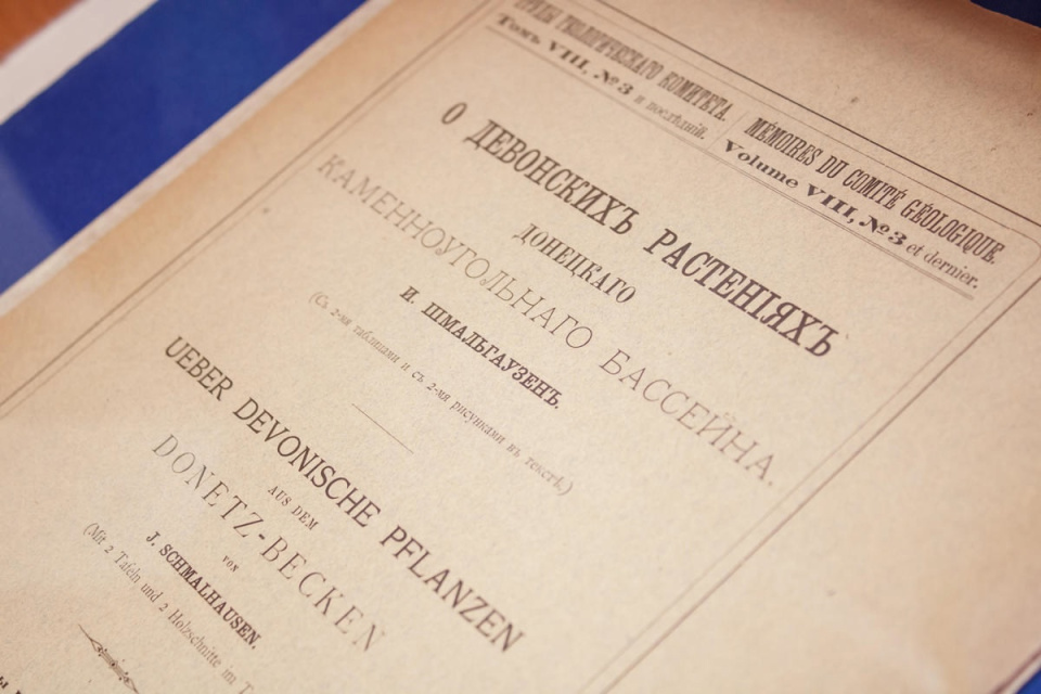 Владислав Лемянский