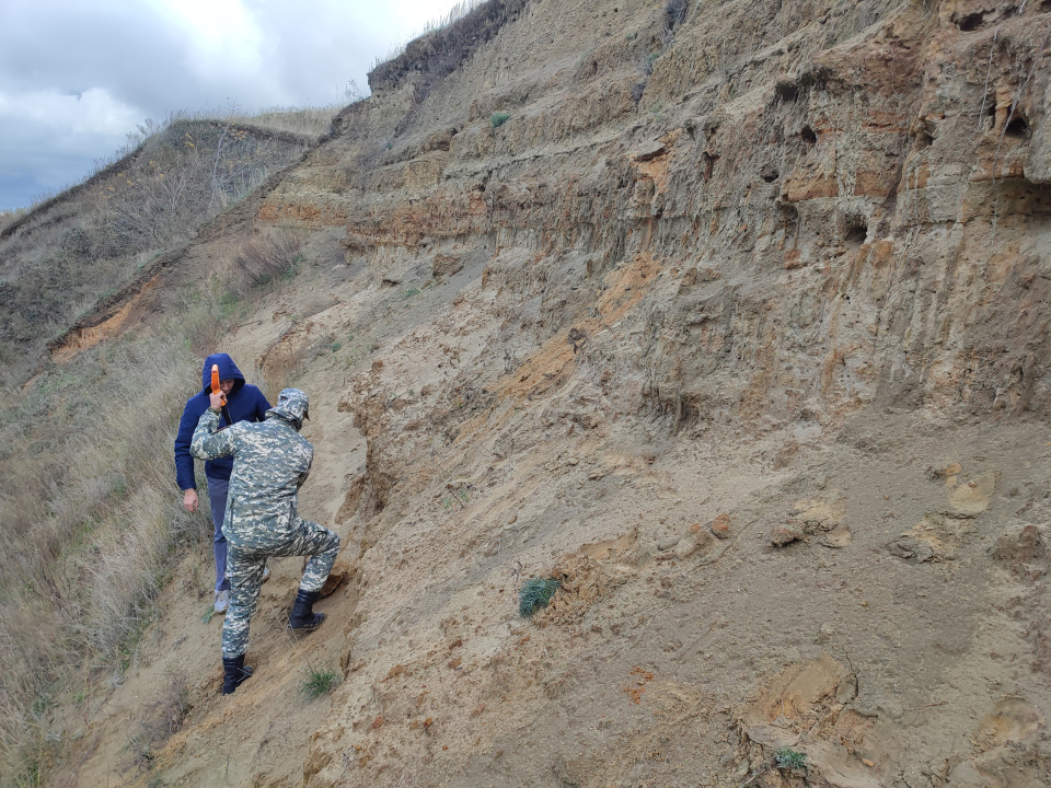  Идет зачистка нижнего горизонта