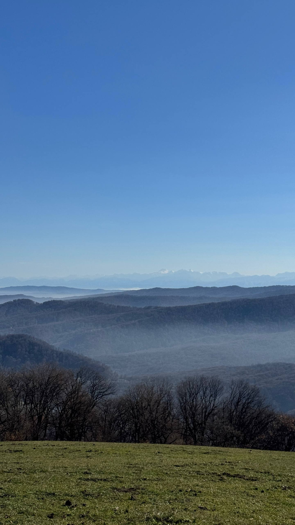 Станислав Кущев