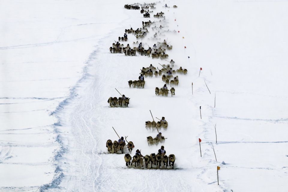 Красота среди бегущих