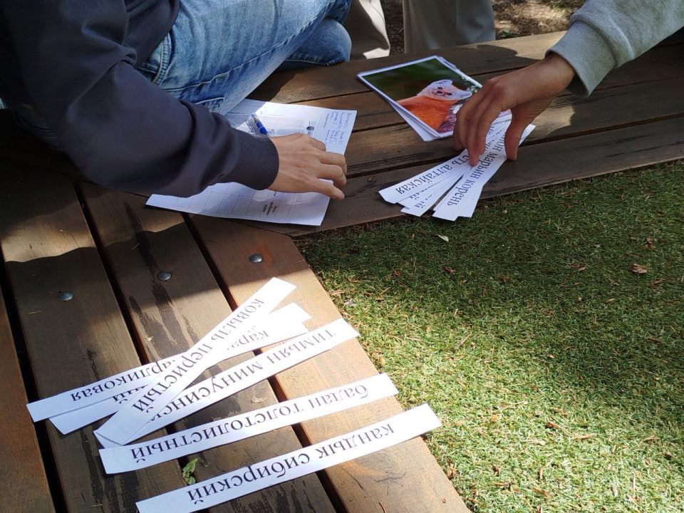 Экологический квест 