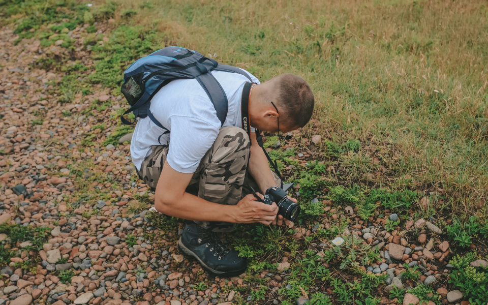 Ксения Гасица Ксения Гасица