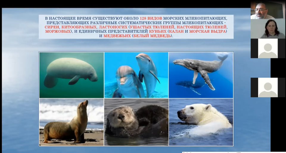 Молодёжный клуб РГО