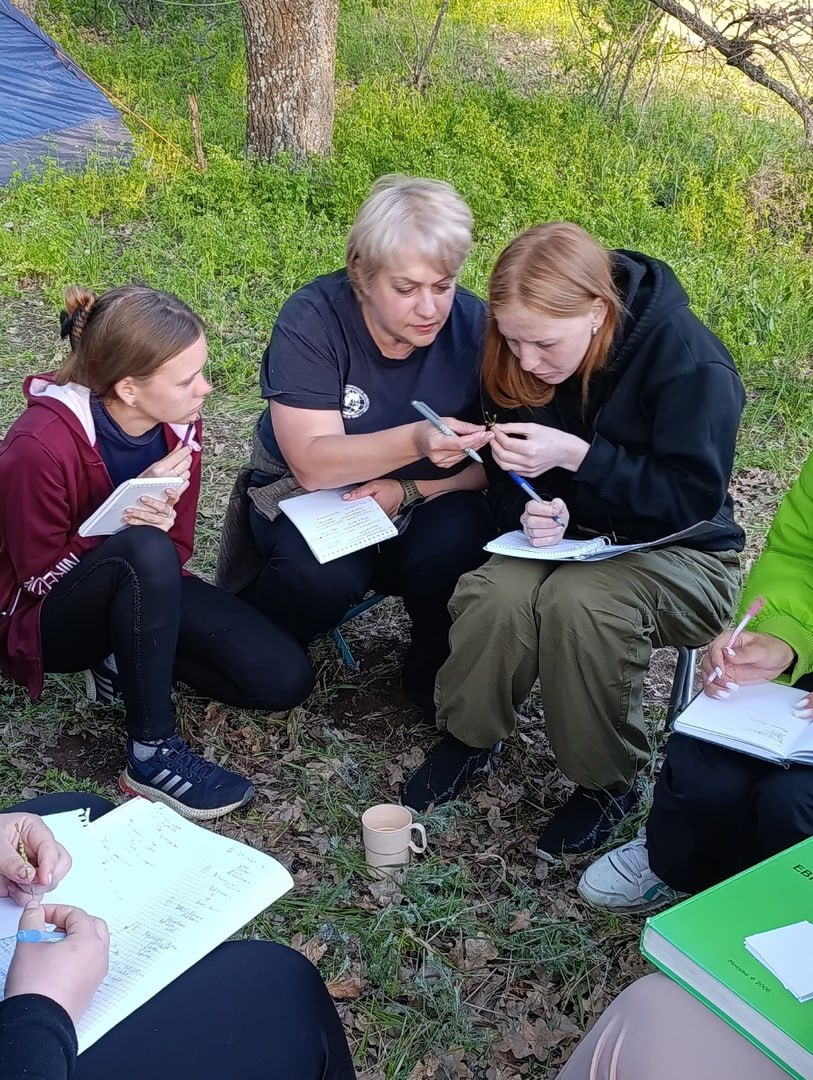 Определение флоры раннецветущих растений