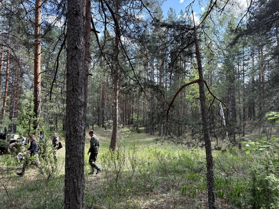 Выполнение описаний