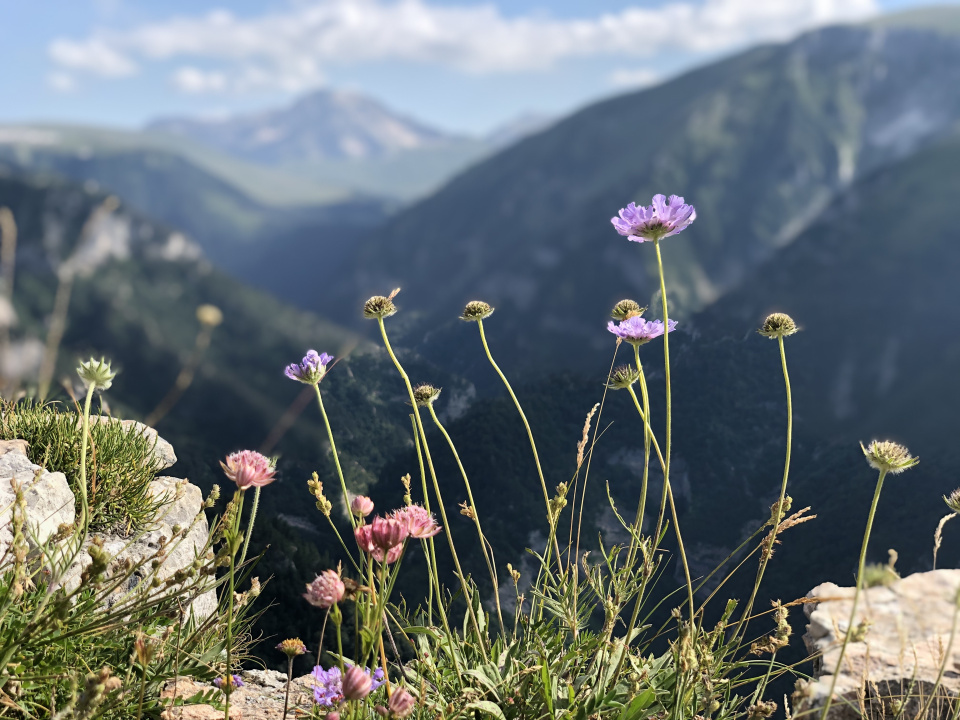 Вера Блажко, активистка Молодежного клуба Апшеронского районного отделения КРО РГО «ЭКОСфера»