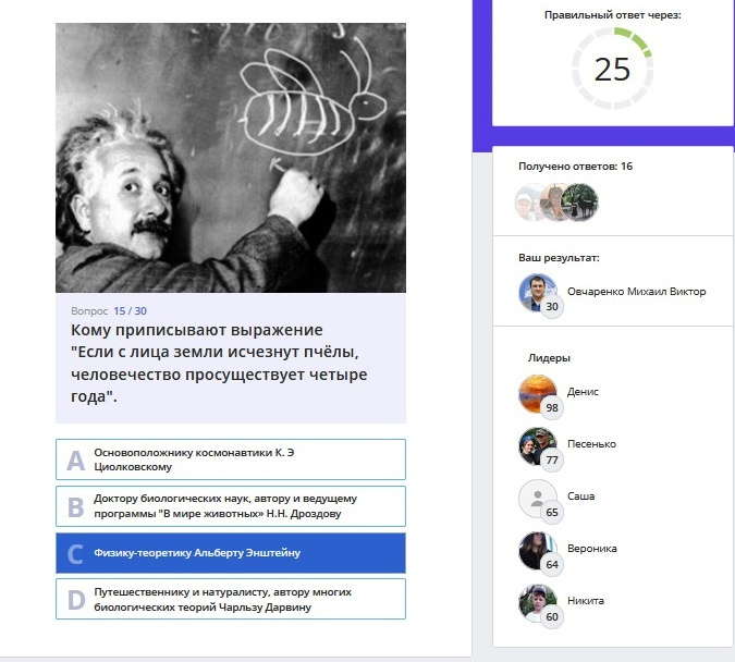 "Пчелиный калейдоскоп"