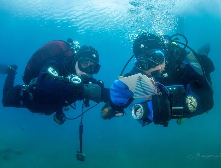 Елена Малафеева