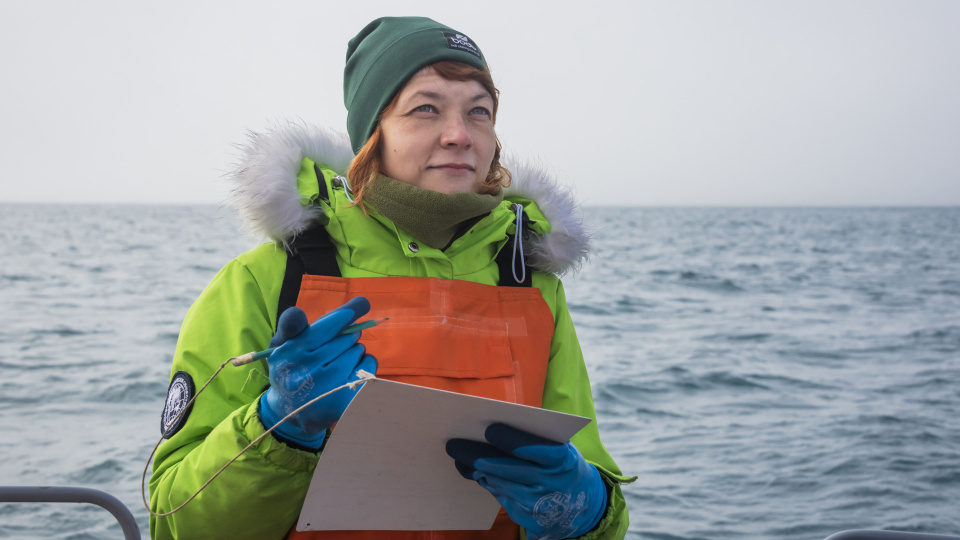 Виталий Новиков