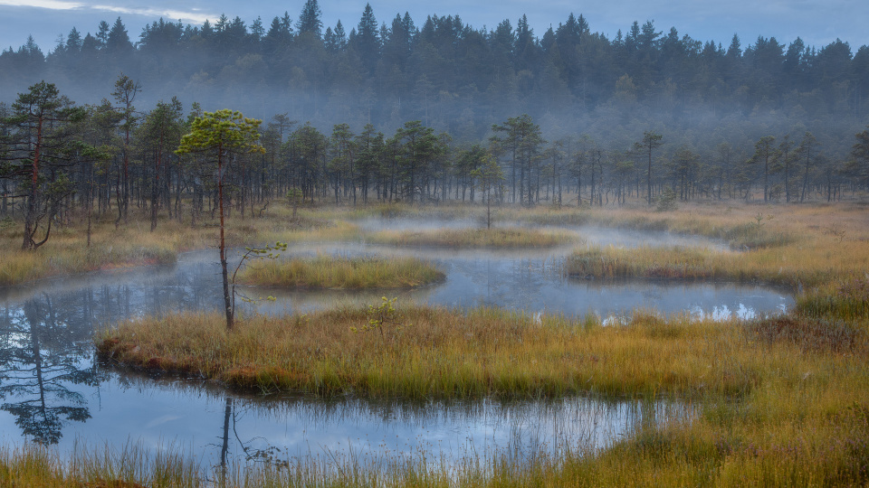 Александр Пашеничев, участник Фотоконкурса "Самая красивая страна"