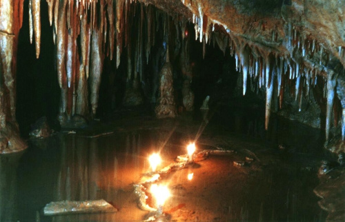 Вера Блажко, активистка Молодежного клуба Апшеронского районного отделения КРО РГО «ЭКОСфера» Вера Блажко, активистка Молодежного клуба Апшеронского районного отделения КРО РГО «ЭКОСфера»