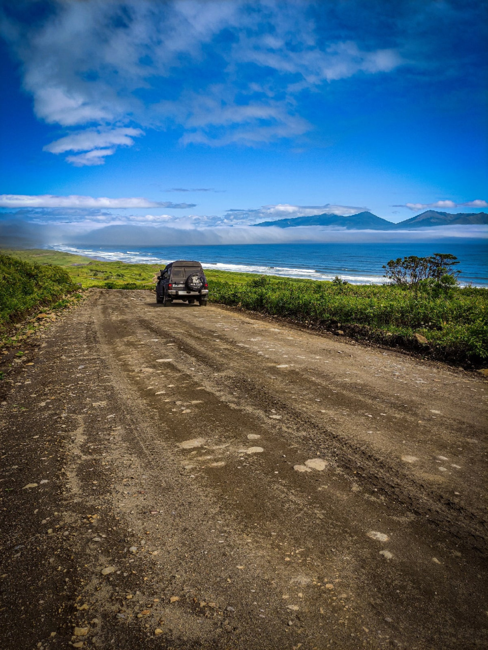 Предоставлено организаторами 