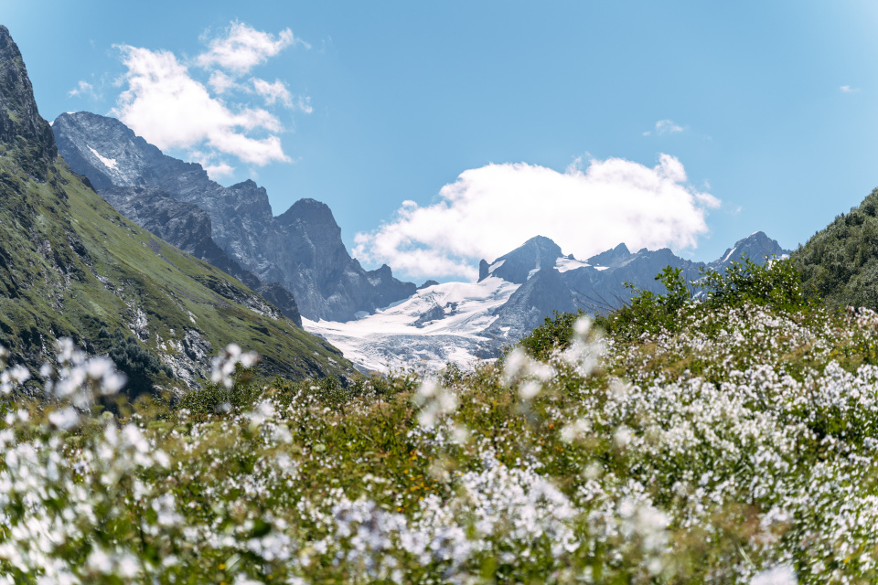 Влада Волкова 