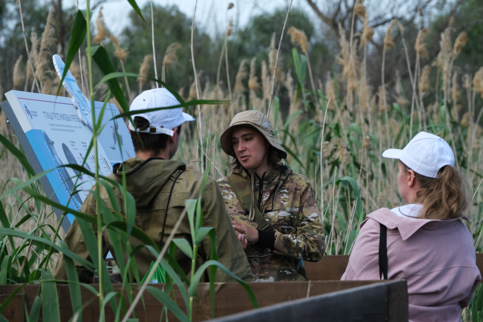 Анастасия Вихляева