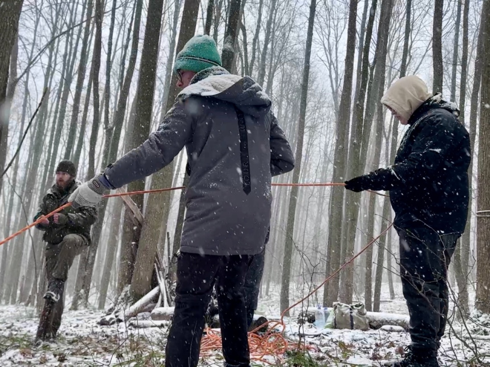 Полевой тренинг Полевой тренинг