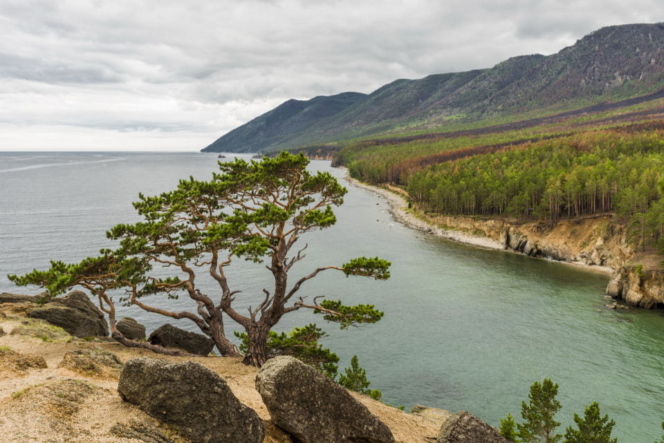 Андрей Иванов