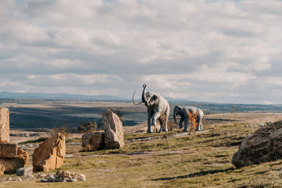 Ксения Гасица
