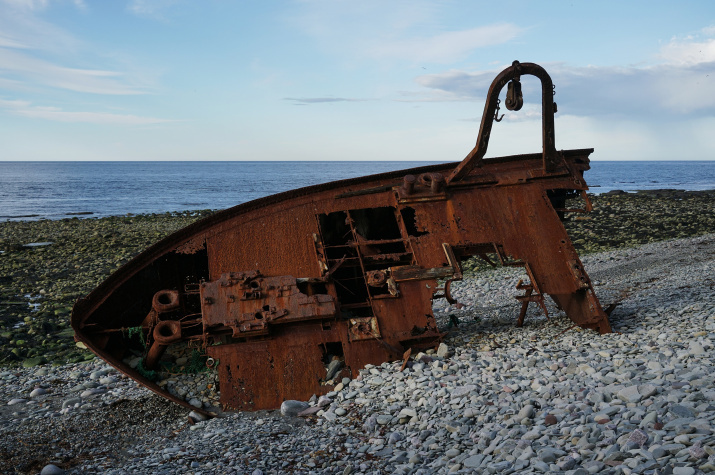 Предоставлено организатором