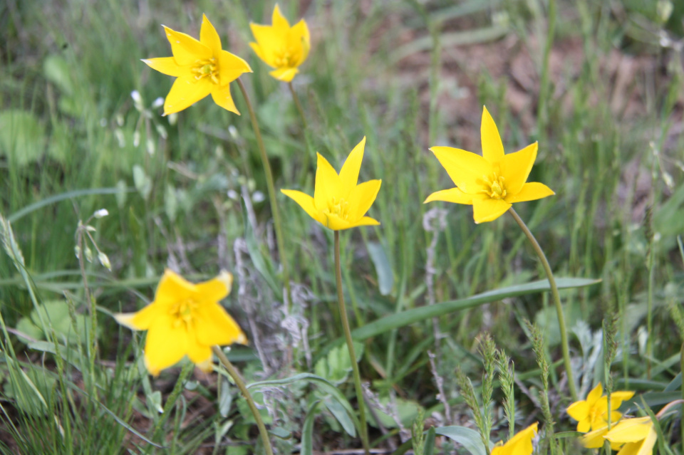 Предоставлено Молодежным клубом РГО г. Волгодонска Предоставлено Молодежным клубом РГО г. Волгодонска