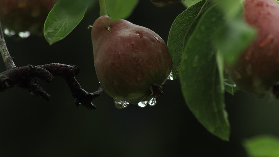 Анастасия  Шахотская, участница фотоконкурса РГО "Самая красивая страна"
