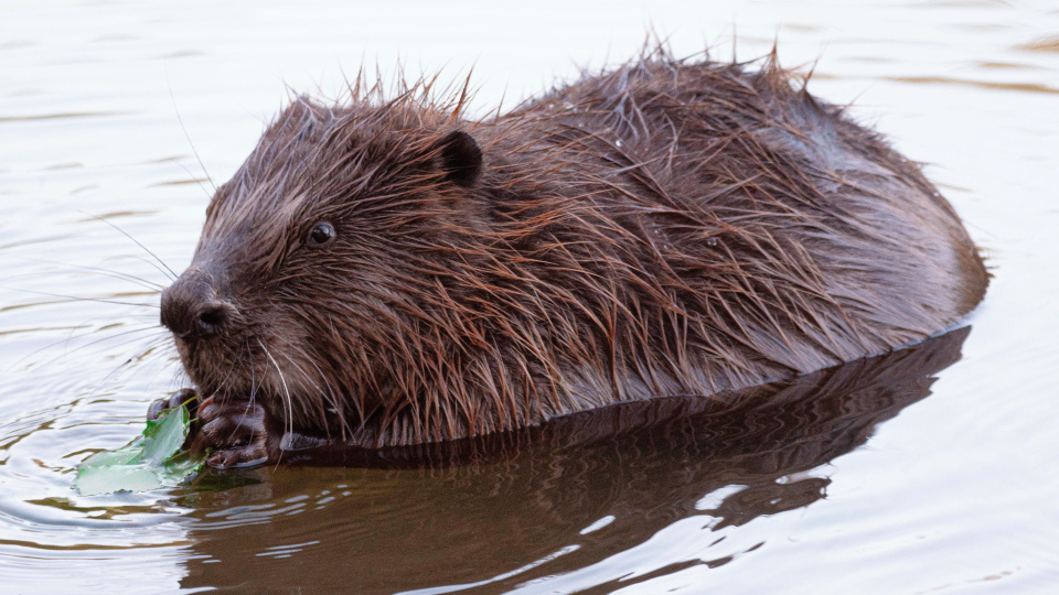 Тамара Вотинцева, участница фотоконкурса РГО "Самая красивая страна"