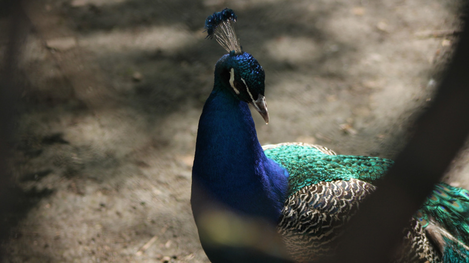 Полина Лепеха, участница фотоконкурса РГО "Самая красивая страна"