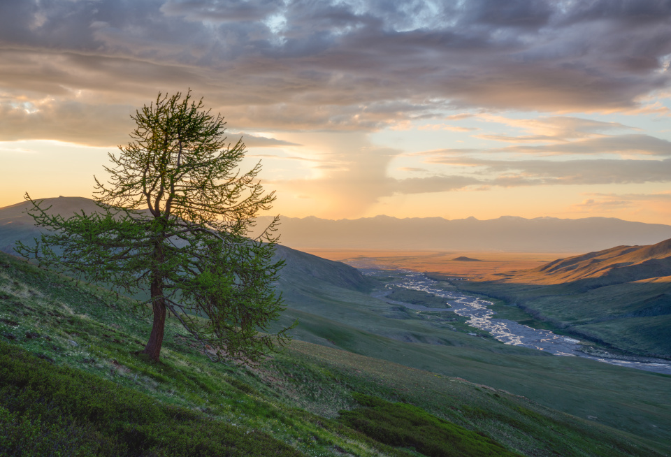 Урочище Чаган-Бургазы