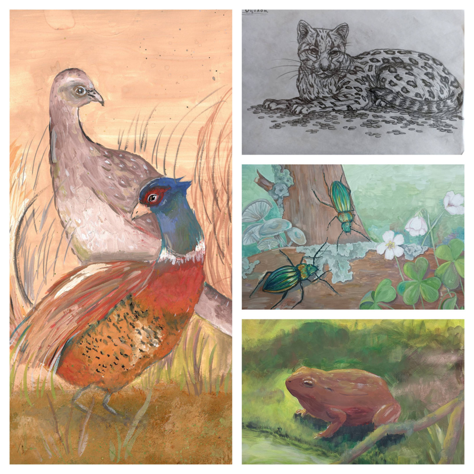 Конкурсные работы