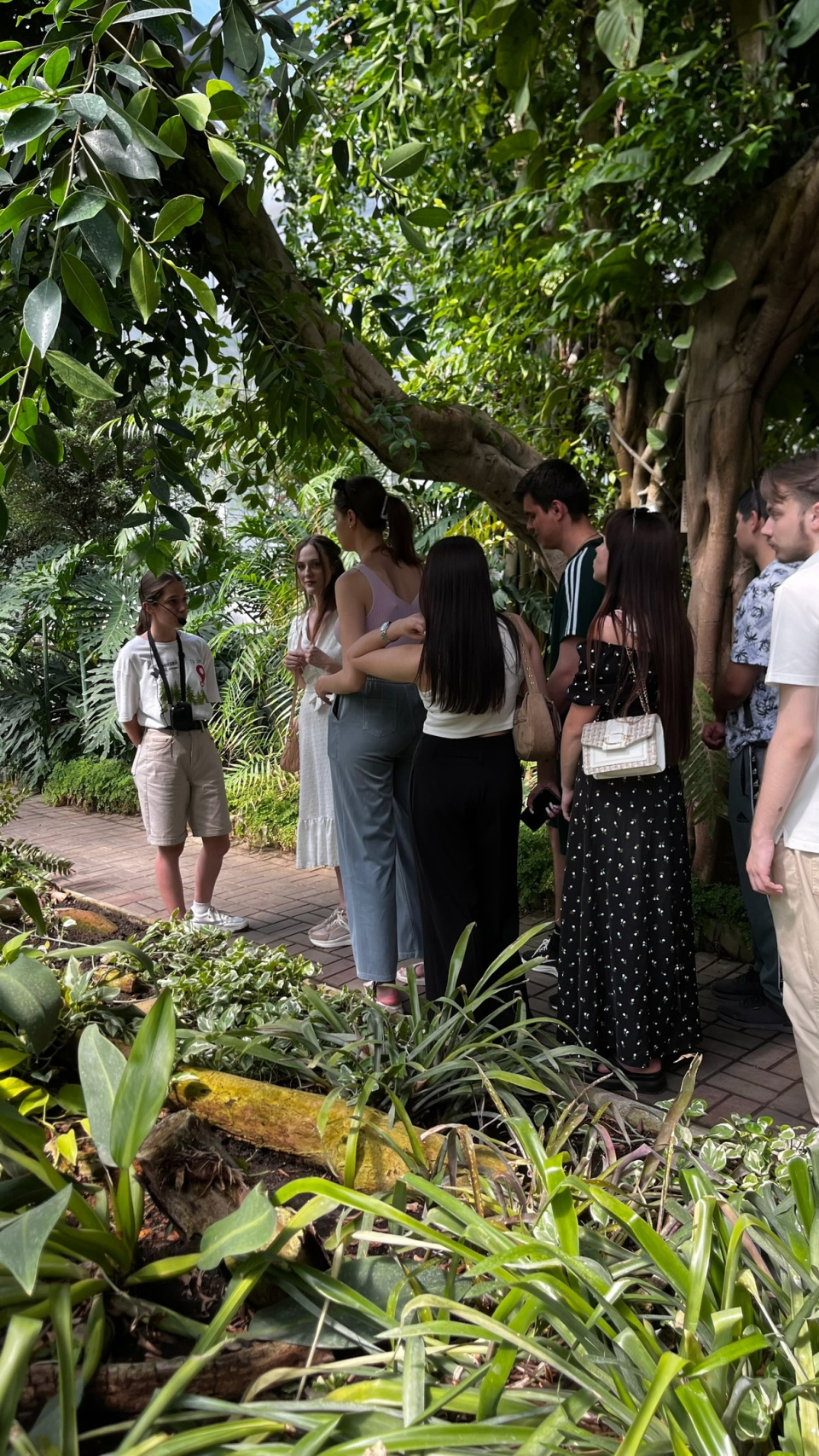 Донецкий ботанический сад