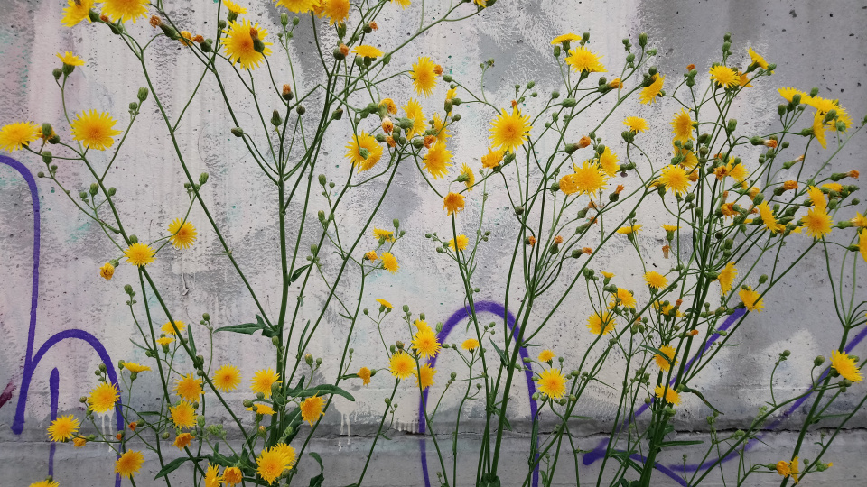 Андрей Есаулов, участник фотоконкурса РГО "Самая красивая страна"